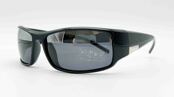 POLARIZED